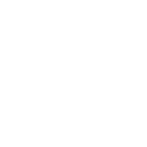 light logo